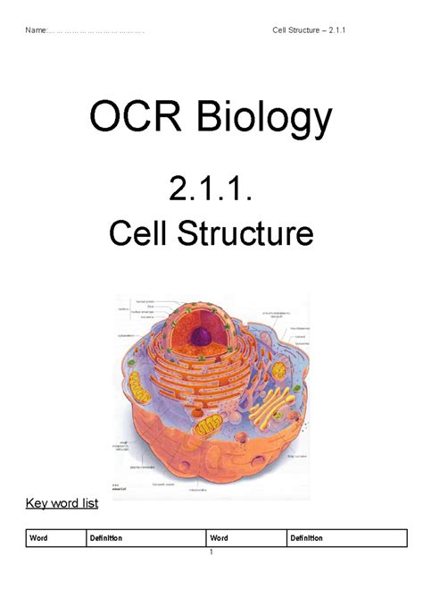 biology a level notes 2025